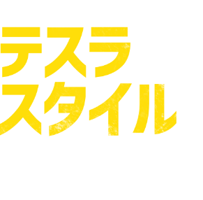 結局テスラスタイルがイイ。